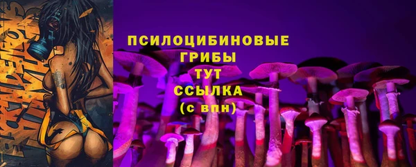 мет Арсеньев