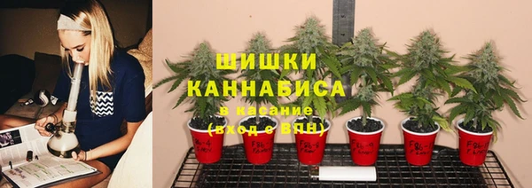 каннабис Аркадак