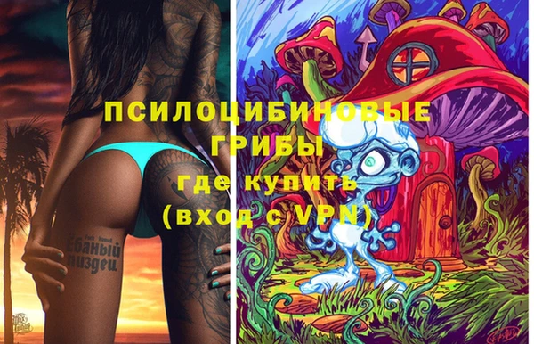 мет Арсеньев