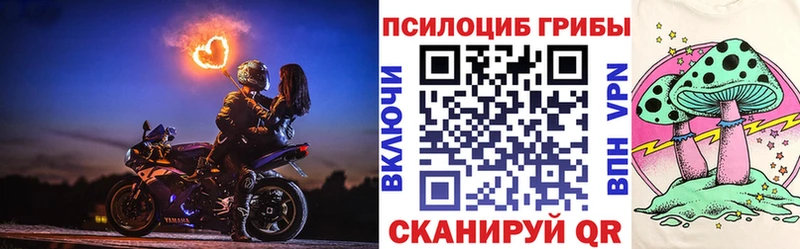 купить закладку  blacksprut зеркало  Псилоцибиновые грибы Cubensis  Чулым 